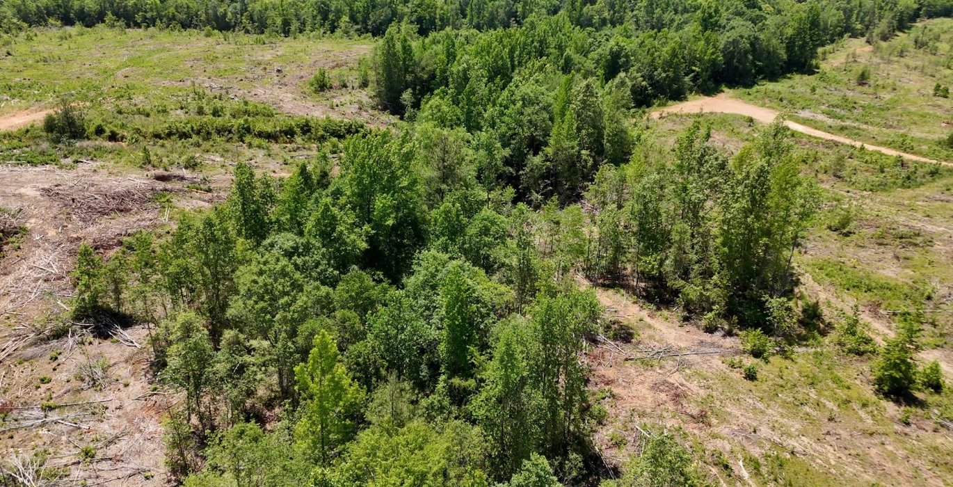 59 AFM Big Mountain Creek Photo 30