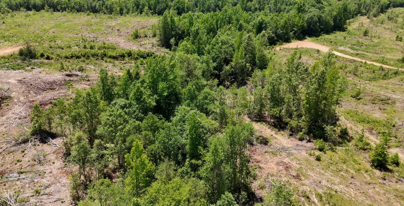 59 AFM Big Mountain Creek Photo 30