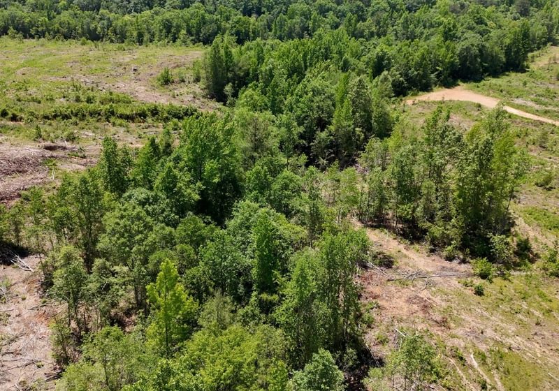 59 AFM Big Mountain Creek Photo 30