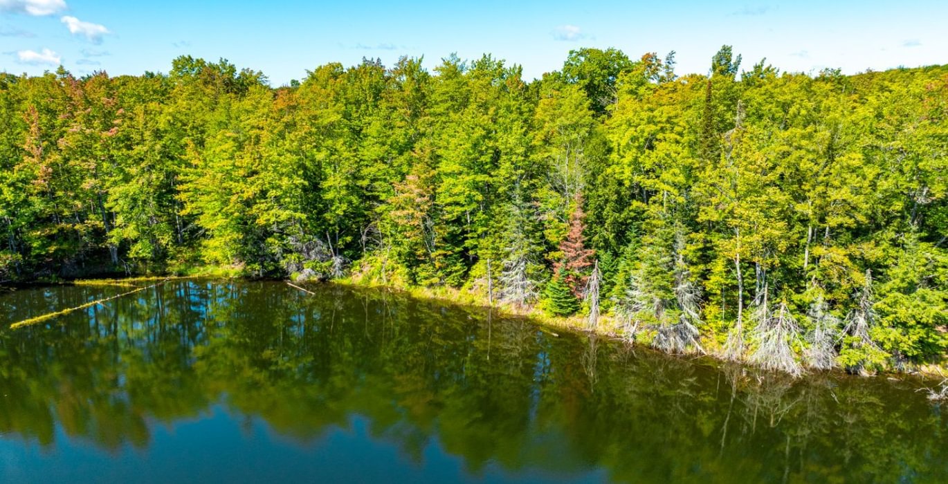 63 20260910 Horseshoe Lake Trina 21