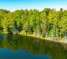 63 20260910 Horseshoe Lake Trina 21