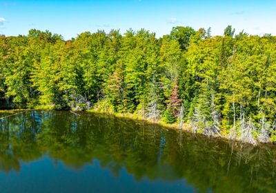 63 20260910 Horseshoe Lake Trina 21