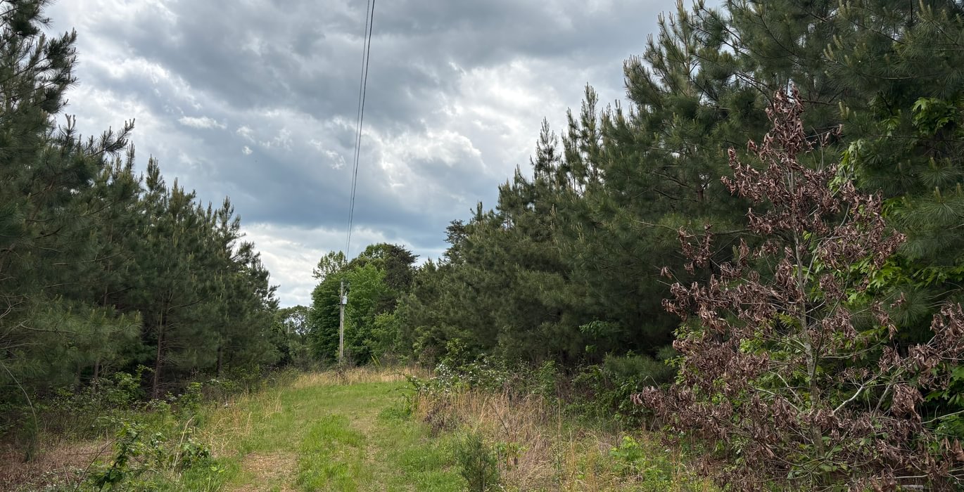 63 IMG 1381