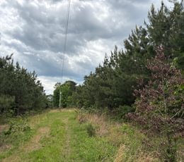 63 IMG 1381