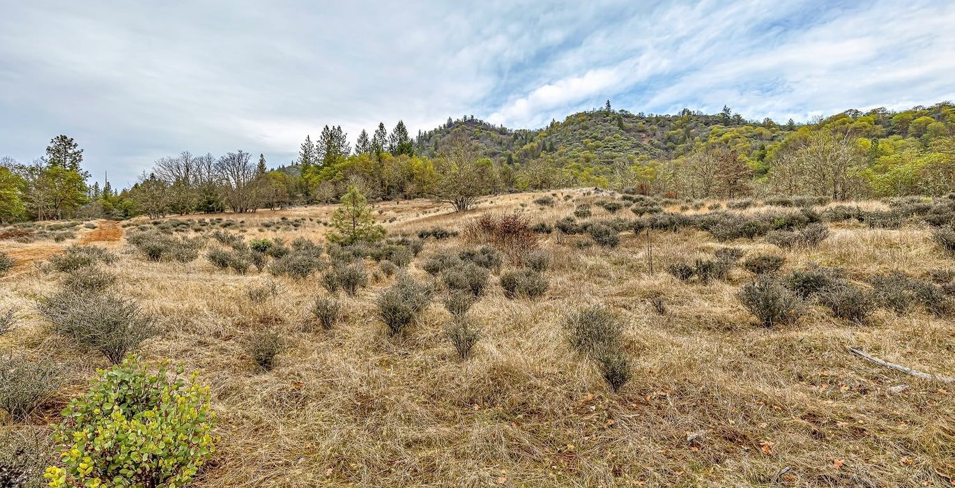 63e3f2e479328 9 R9 A0755 autocompress2 Cformat