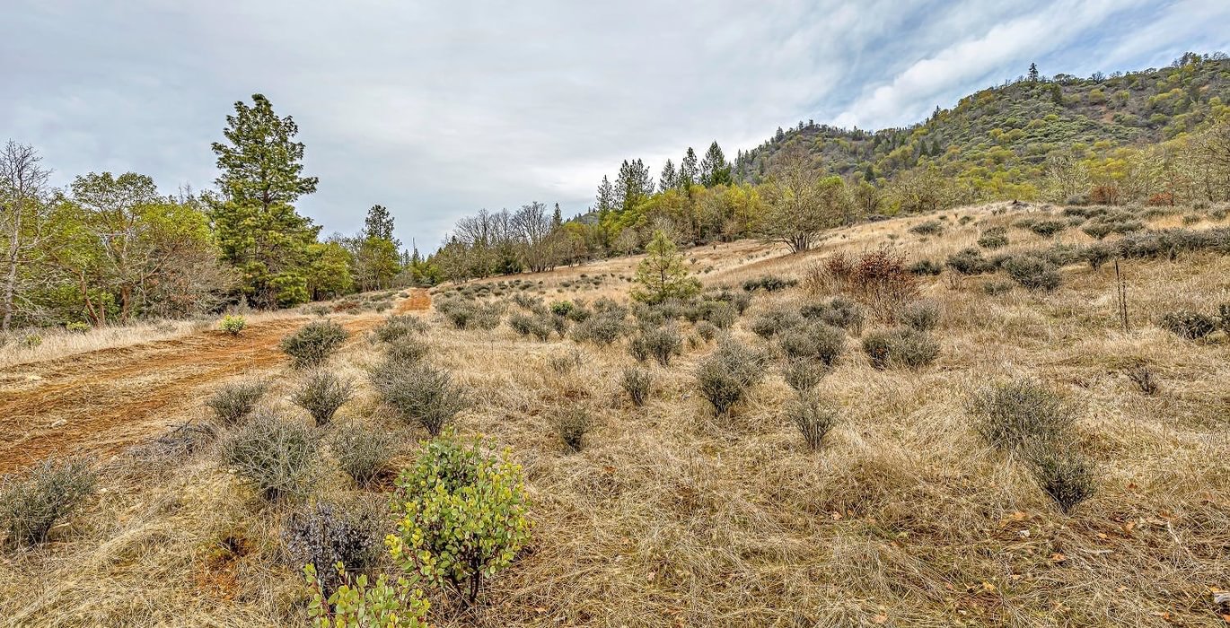 63e3f2f2d28fa 9 R9 A0760 autocompress2 Cformat