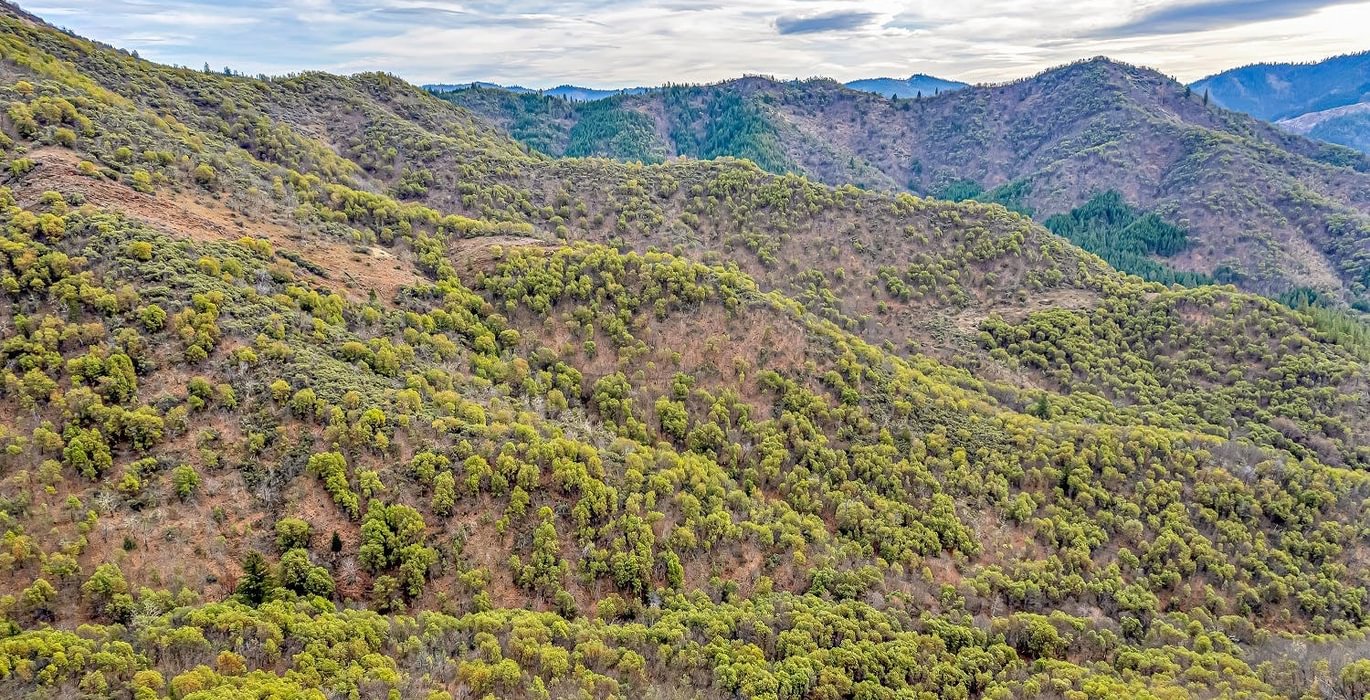 63e3f34b40999 DJI 0455 autocompress2 Cformat