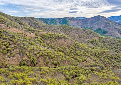 63e3f34b40999 DJI 0455 autocompress2 Cformat