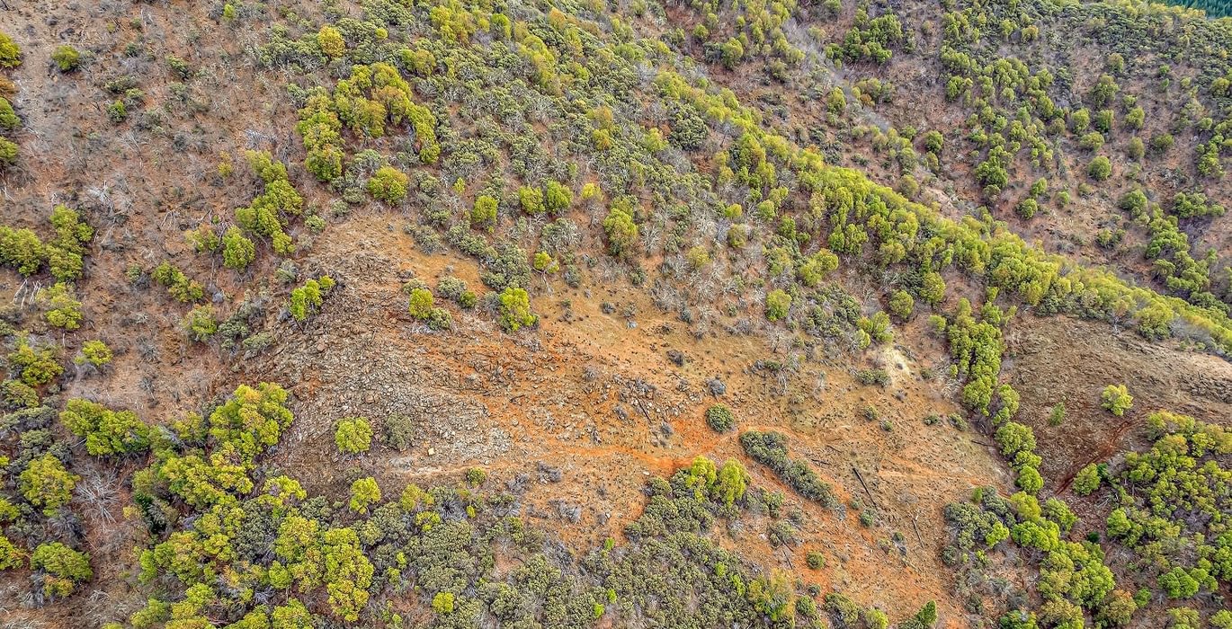 63e3f34c77258 DJI 0460 autocompress2 Cformat