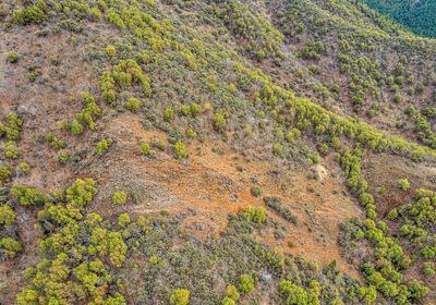 63e3f34c77258 DJI 0460 autocompress2 Cformat