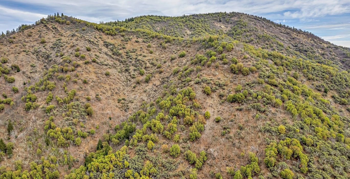 63e3f359df56d DJI 0465 autocompress2 Cformat