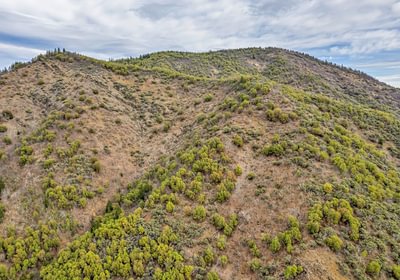 63e3f359df56d DJI 0465 autocompress2 Cformat