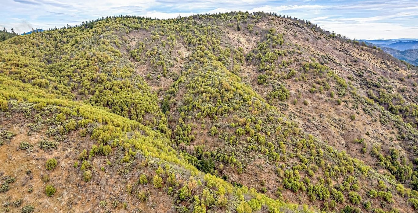 63e3f35b3865b DJI 0470 autocompress2 Cformat