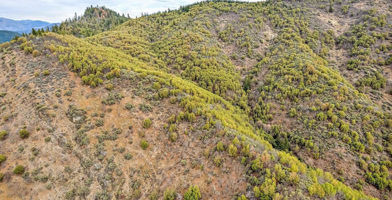 63e3f3682ff9b DJI 0475 autocompress2 Cformat