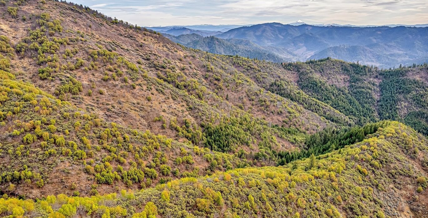 63e3f3695ceef DJI 0480 autocompress2 Cformat