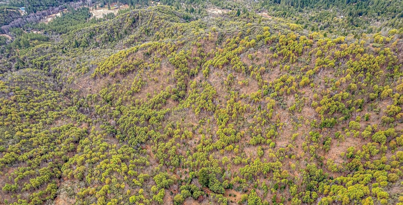 63e3f387312a1 DJI 0500 autocompress2 Cformat