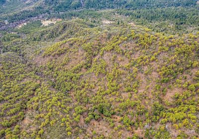 63e3f387312a1 DJI 0500 autocompress2 Cformat