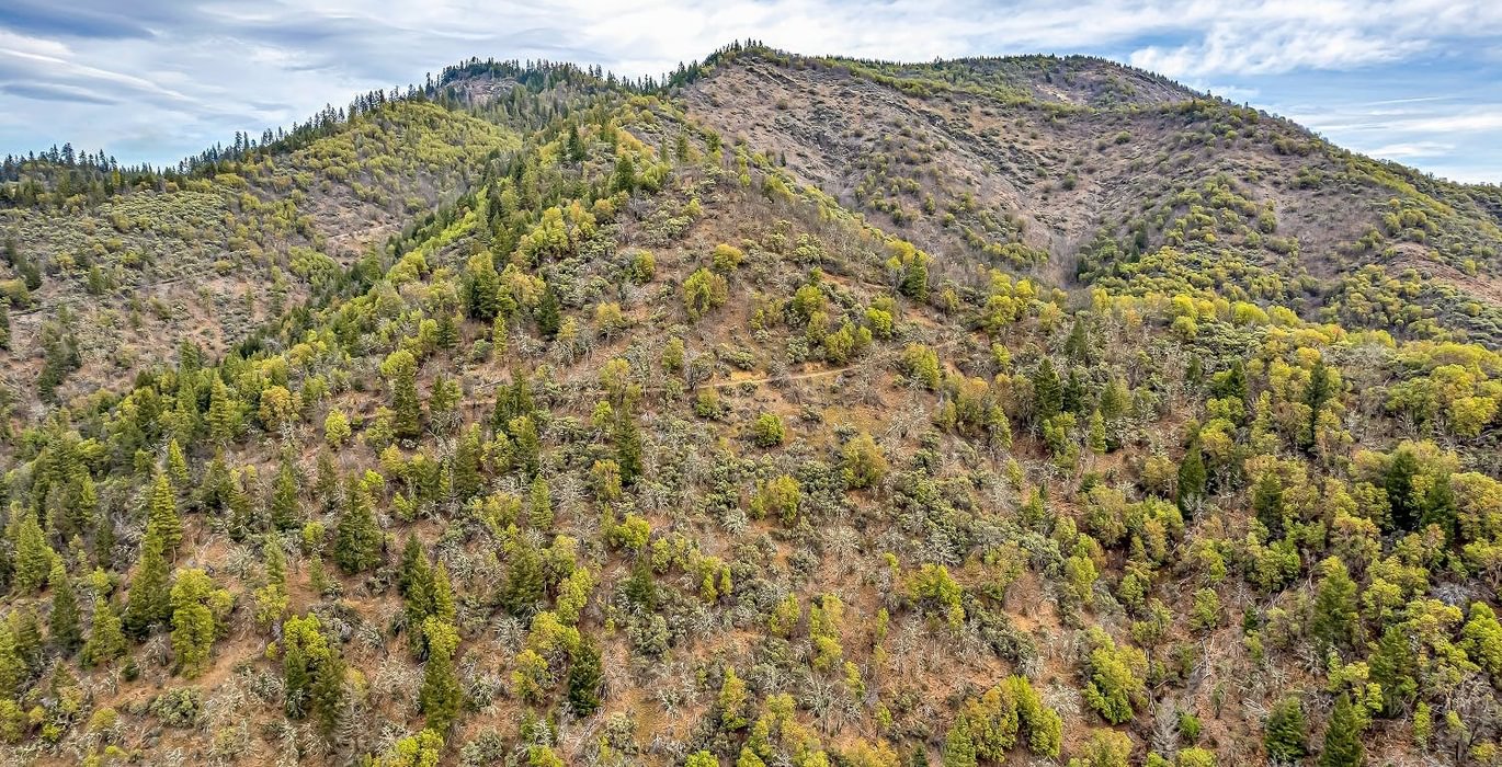 63e3f31e8b442 DJI 0425 autocompress2 Cformat