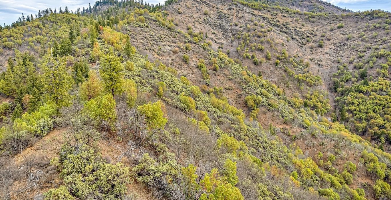 63e3f31fd811d DJI 0430 autocompress2 Cformat