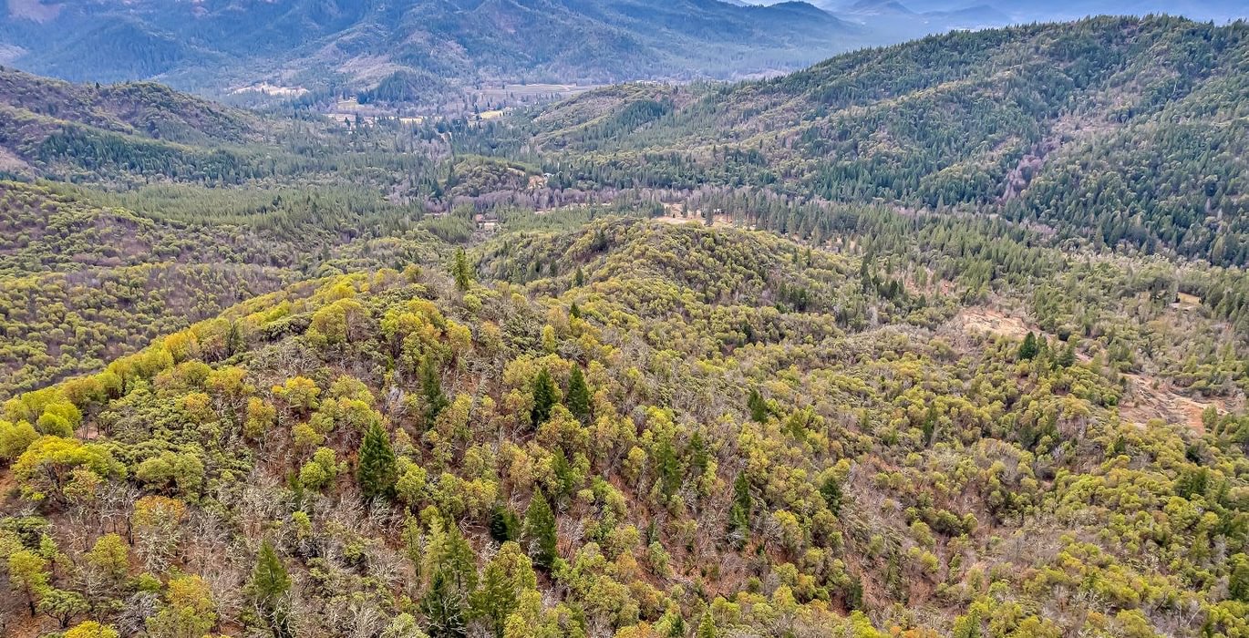 63e3f32e225ac DJI 0435 autocompress2 Cformat