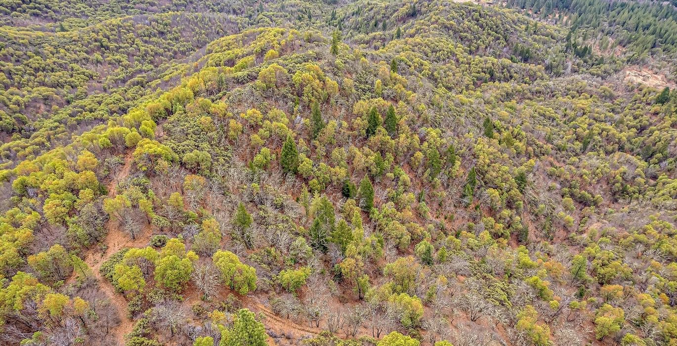 63e3f32f5abd1 DJI 0440 autocompress2 Cformat