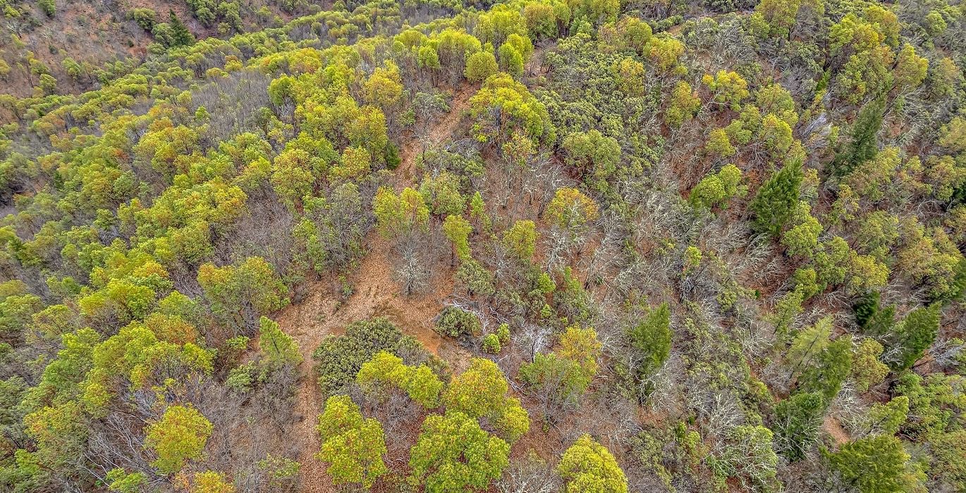 63e3f33c10ff8 DJI 0445 autocompress2 Cformat