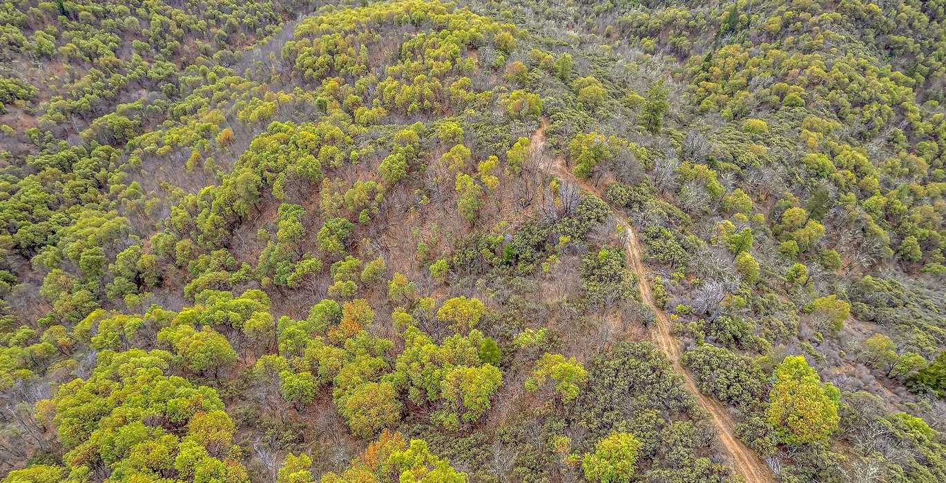 63e3f33d7c372 DJI 0450 autocompress2 Cformat