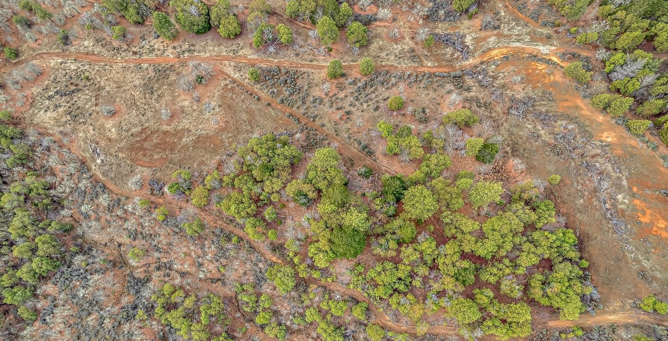 63e3f3a61a5fe DJI 0520 autocompress2 Cformat