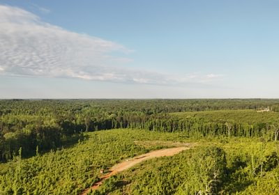 600 DJI 20250523082326 0006 D