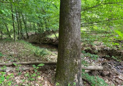 600 IMG 0640