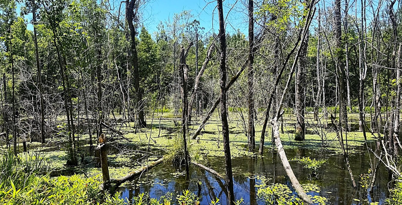 600 IMG 0881