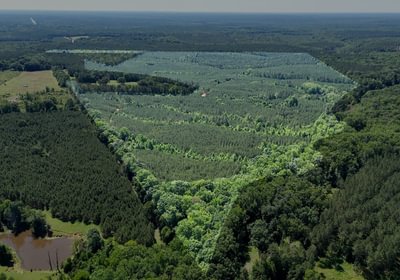 601 Horton Tract Photo 21