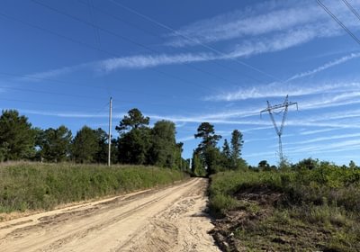 601 IMG 1734