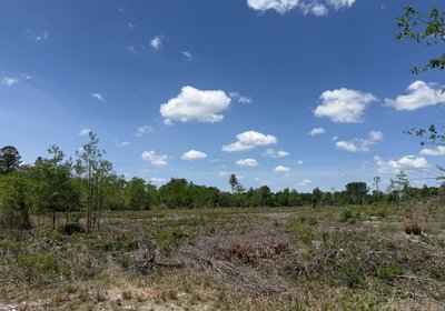 602 IMG 1545