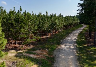 602 Longleaf Mecca Photo 23