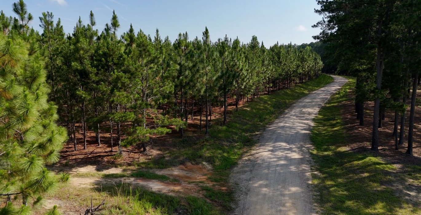 602 Longleaf Mecca Photo 23
