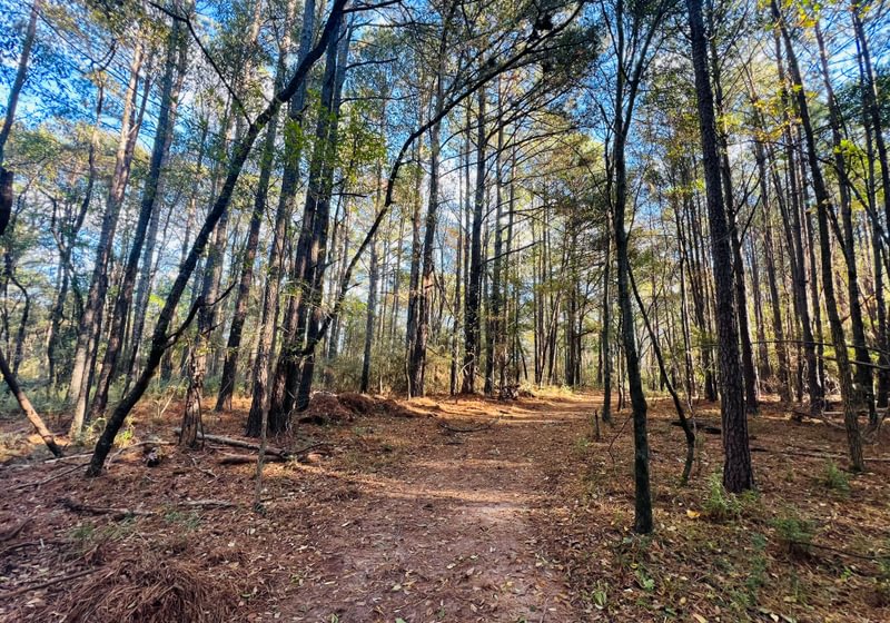 Photo 11 of Paradise Farms, 46.84 acres, Henry County, Georgia