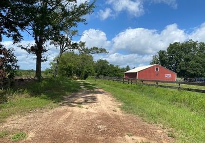 603 gum springs 35