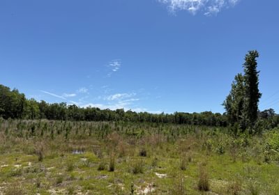 604 IMG 1765