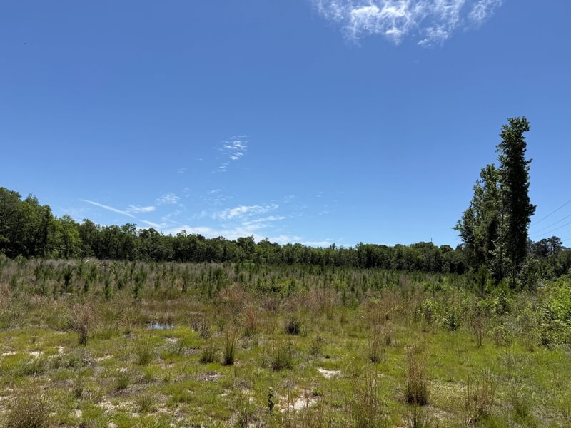 Photo 1 of Vernon South, 109 acres, Washington County, Florida