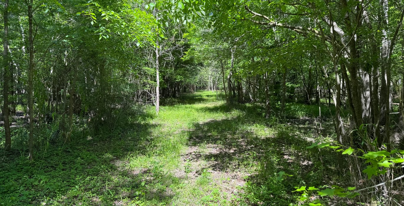 604 IMG 7259