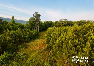 605 DJI 20241016132459 0047 D