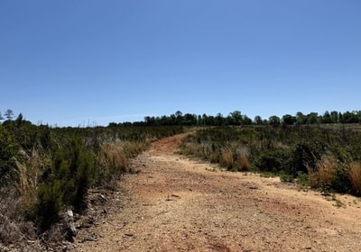 605 IMG 2867