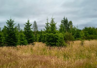 605 IMG 20260708 103131742 HDR