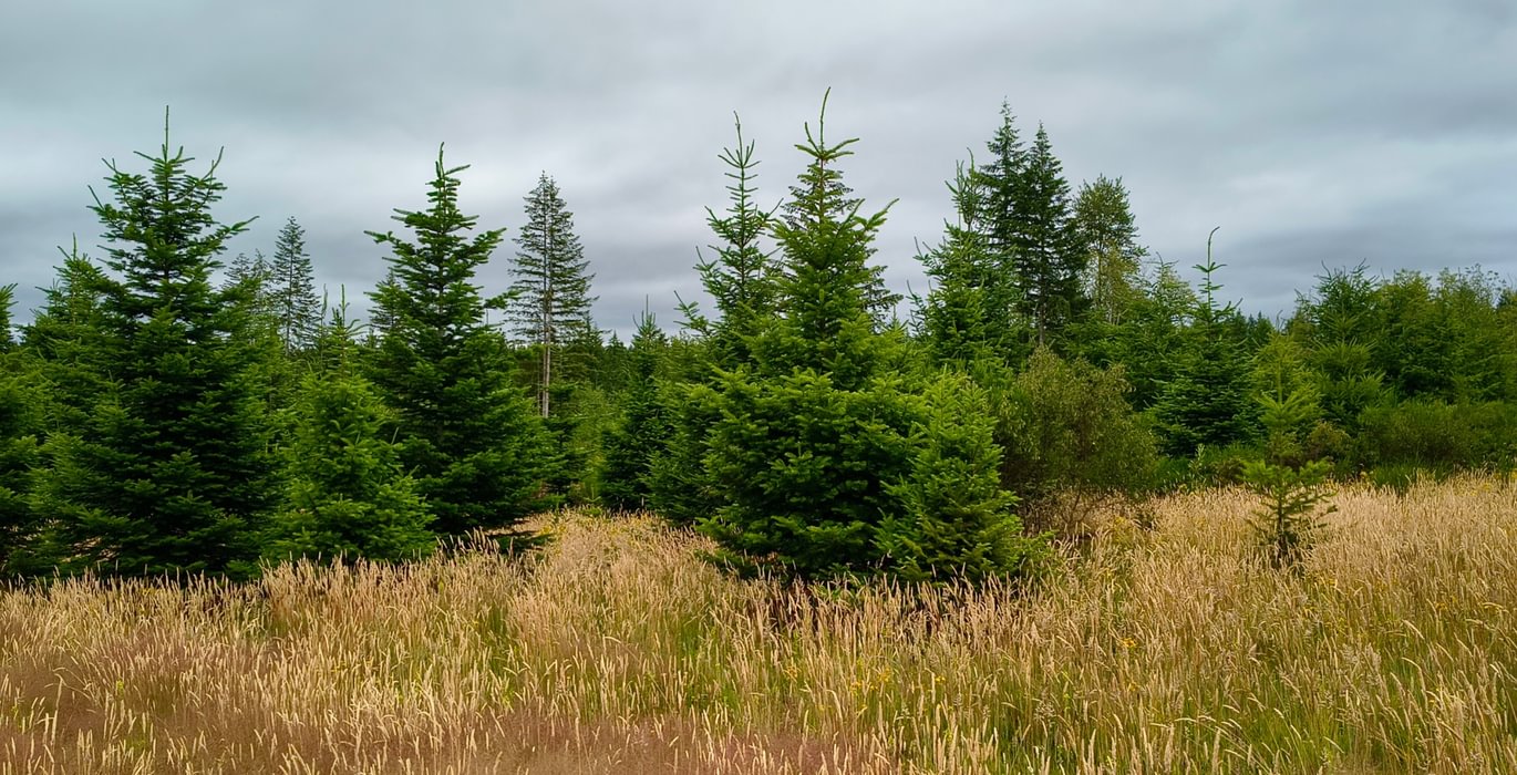 605 IMG 20260708 103131742 HDR