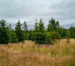 605 IMG 20260708 103131742 HDR