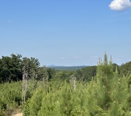 605 a IMG 5986