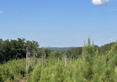 605 a IMG 5986