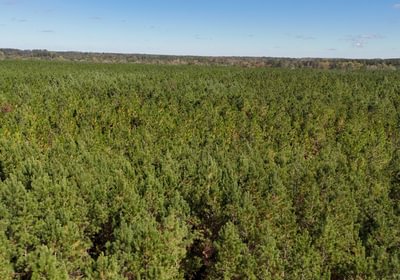 606 AFM Bladen 339 Photo 17