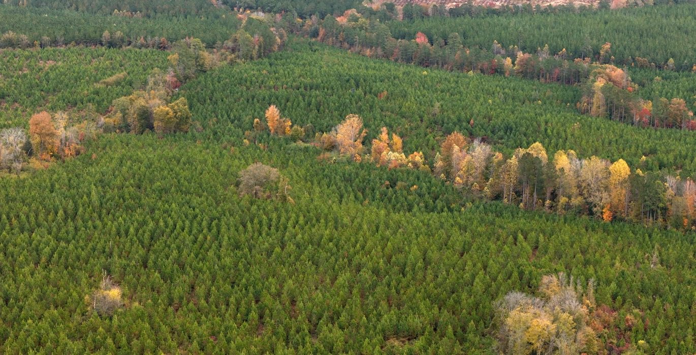 606 AFM Richmond 126 Tract Photo 13